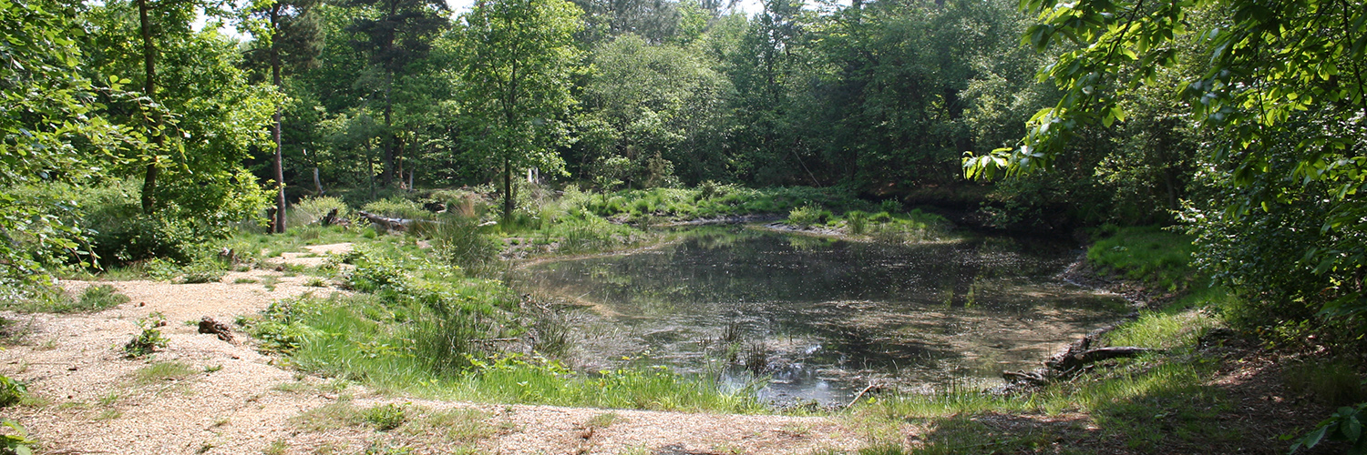 Le Bois des Communes SeineMaritime, La Normandie impressionnante