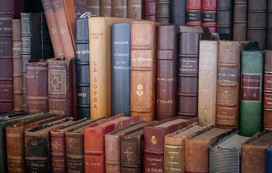 Bourse aux livres - © Tom de Pixabay