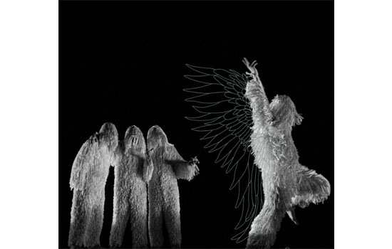 Danse : A4 (Comme la feuille) - Compagnie Chicos Mambos - Philippe Lafeuille