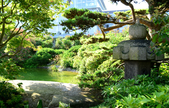 Contes au Jardin japonais - ©Maeva Fleury
