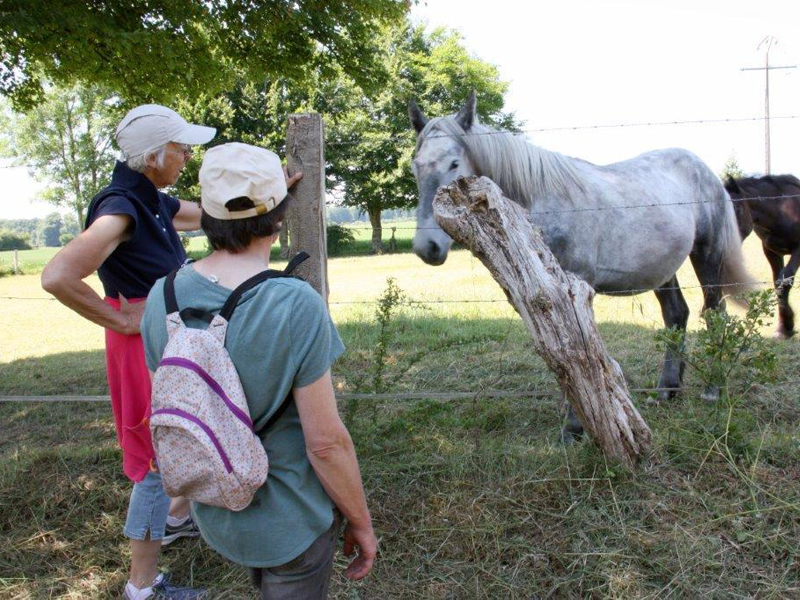 Corinne Duconseil - Balade sophrologie (2)