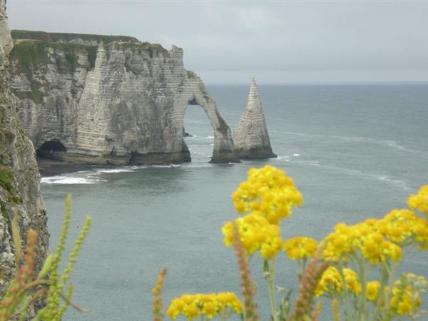 Cyriaque Lethuil Natterra-Flore Etretat