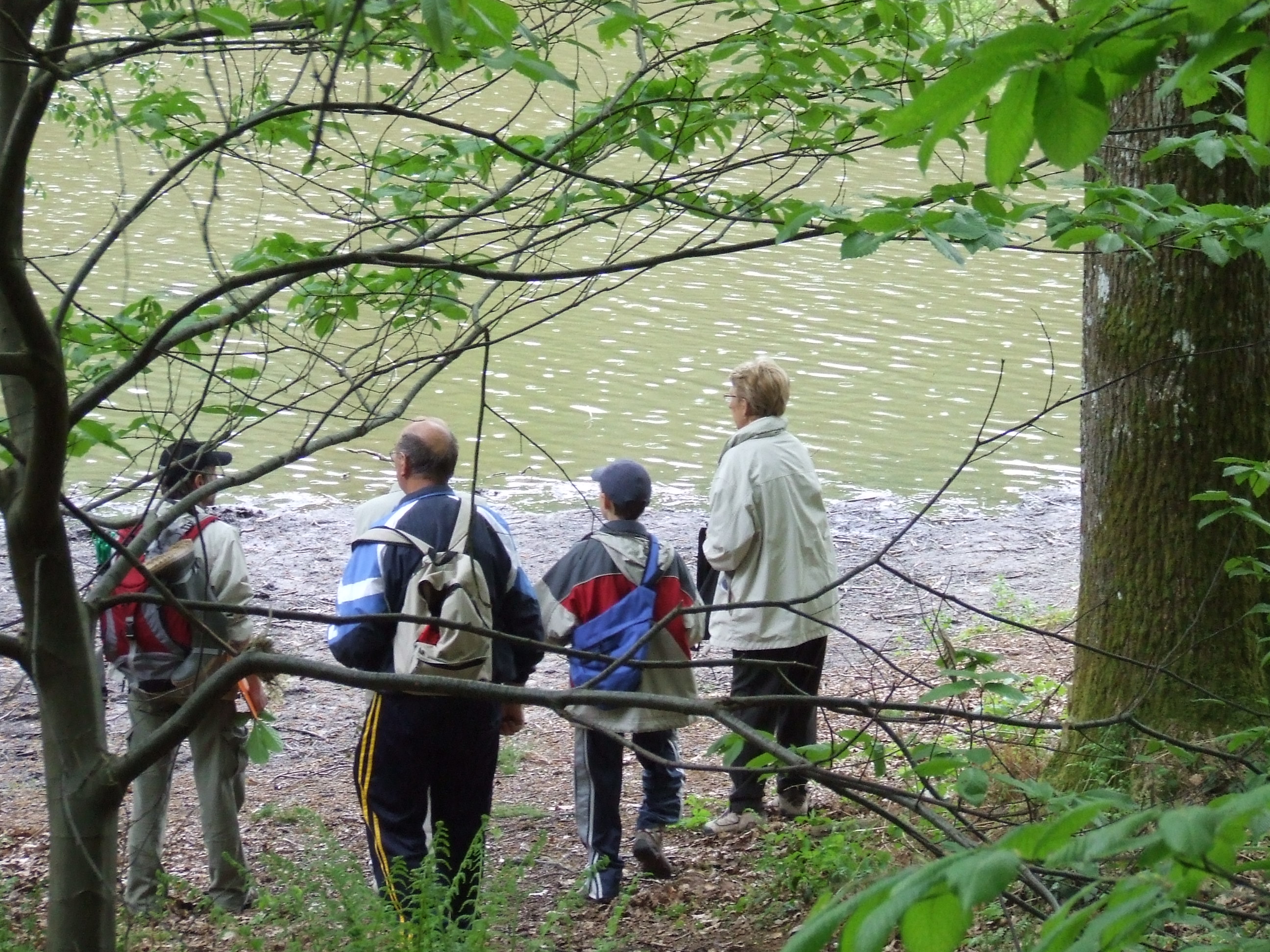 Randonnée dans le Bois de l’Epinay 