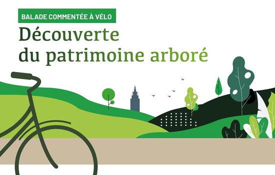 Balade commentée à vélo : Découverte du patrimoine arboré