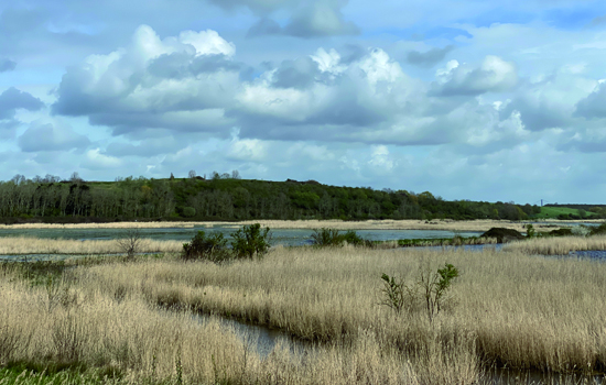 Découverte marais du Hode - ©Maison de l'Estuaire