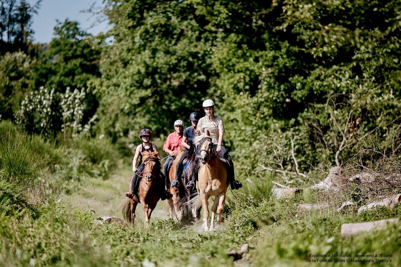Écurie de la Forêt de Lyons - photo 7