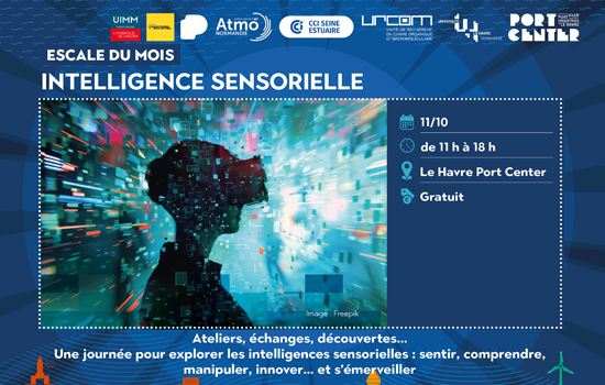 Escale du mois - Intelligence sensorielle
