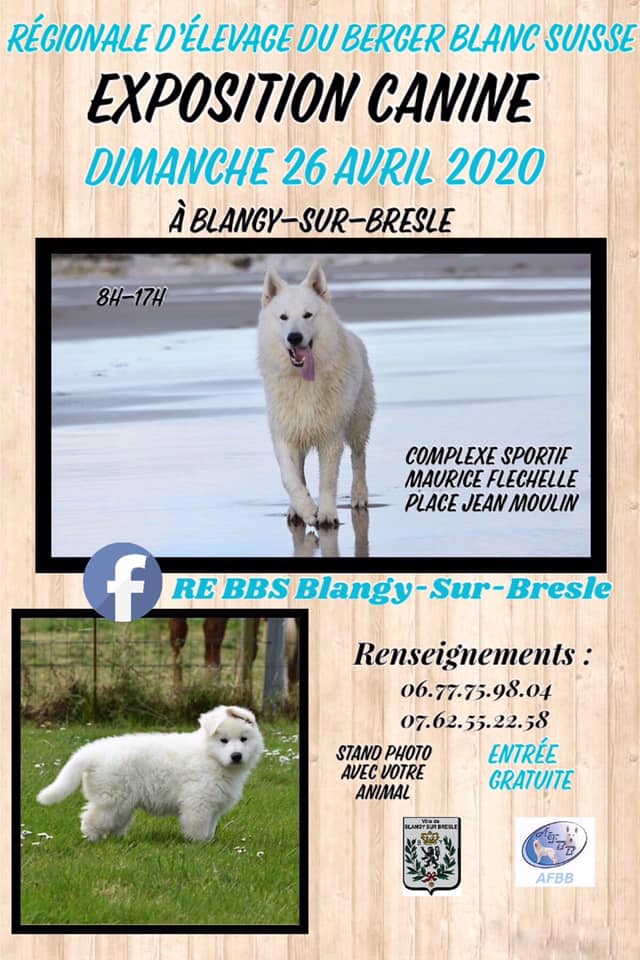 Expo-canine-26Avril-Wetzel