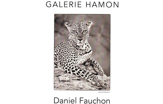 Exposition : Daniel Fauchon