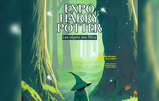 Exposition : Harry Potter