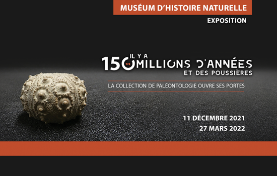 Ausstellung: „Vor 150 Millionen Jahren und Staub“