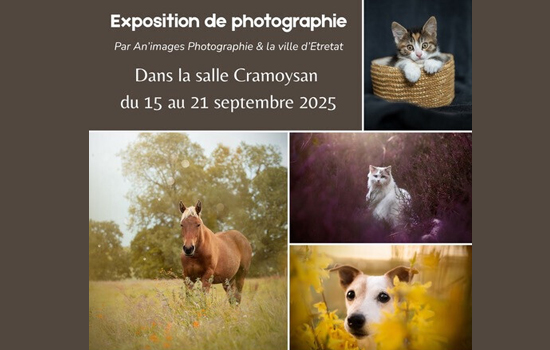 Exposition : An'images