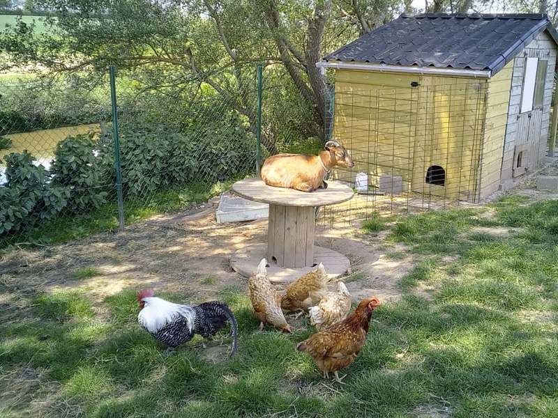 Ferme - ©Camping Les Pommiers