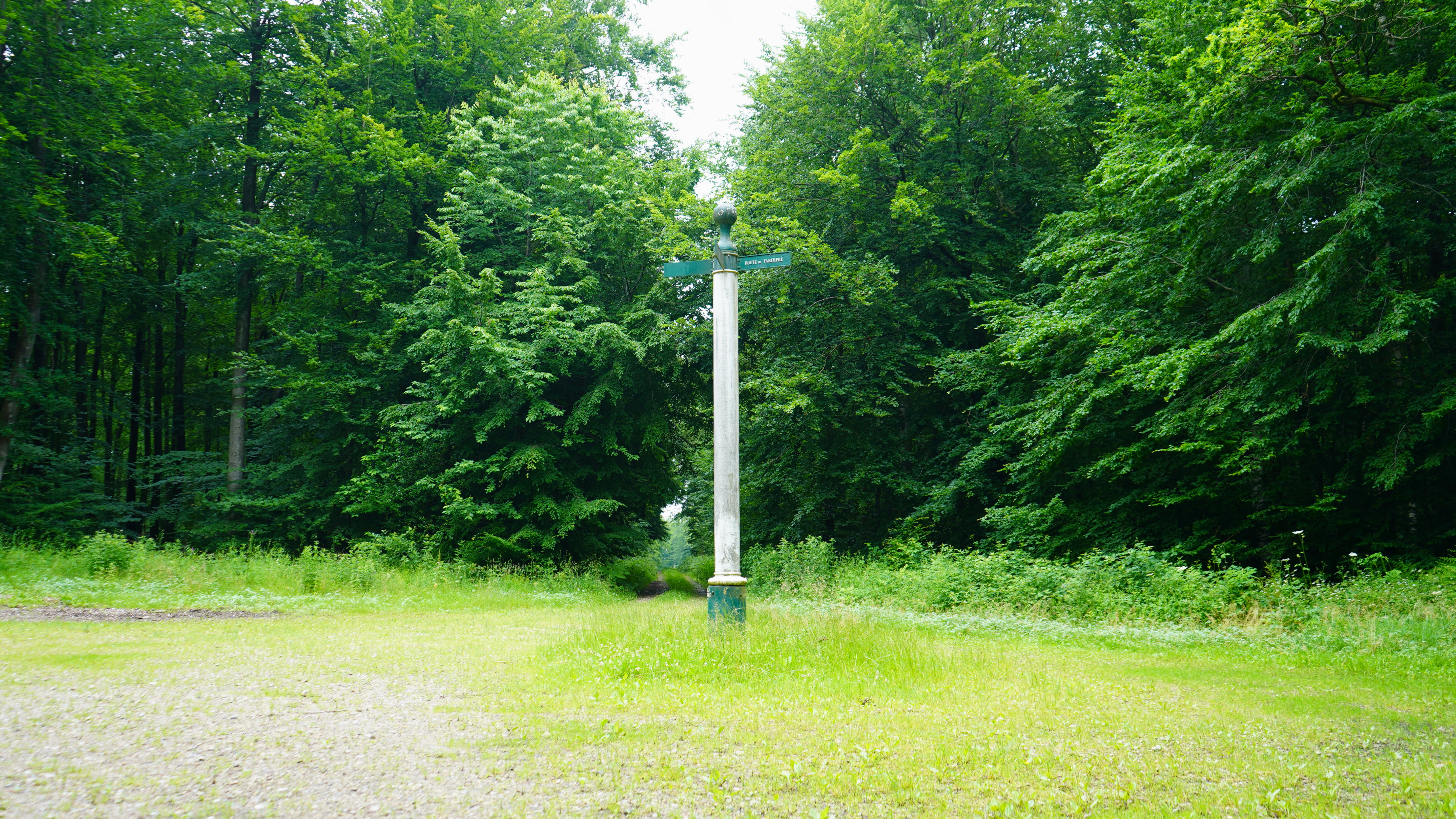 Forêt - Eu (8) - ©Hameau Forêt - Eu (8)