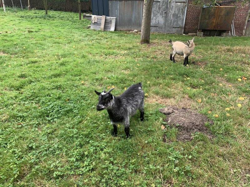 ECRAINVILLE#Gîtes de France® - Le Gîte des Coquins