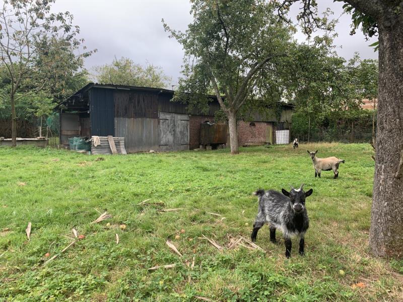 ECRAINVILLE#Gîtes de France® - Le Gîte des Coquins