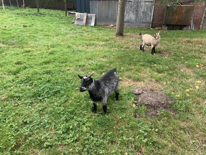 ECRAINVILLE#Gîtes de France® - Le Gîte des Coquins