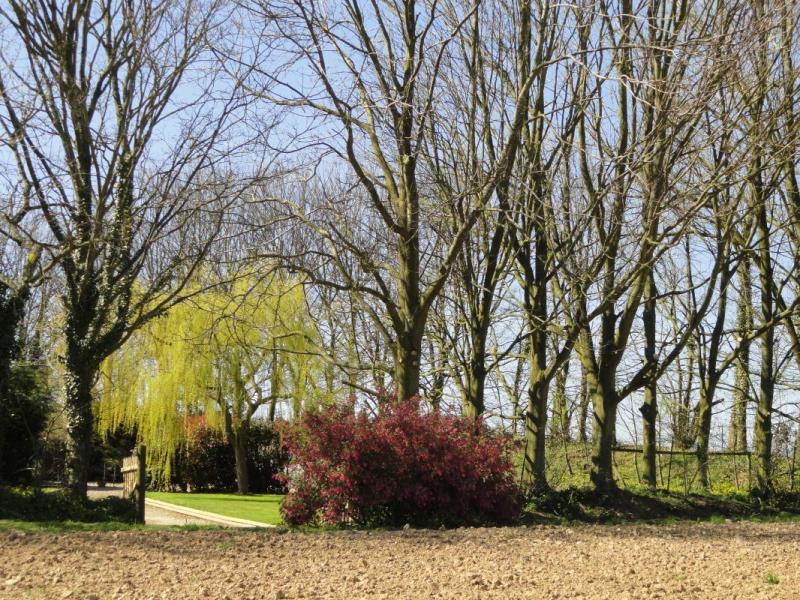 ST SAUVEUR D'EMALLEVILLE#Gîtes de France® - Le P'tit Nid