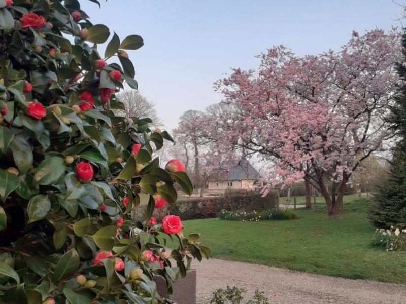 BRETTEVILLE DU GRAND CAUX#Gîtes de France® - Le Puits