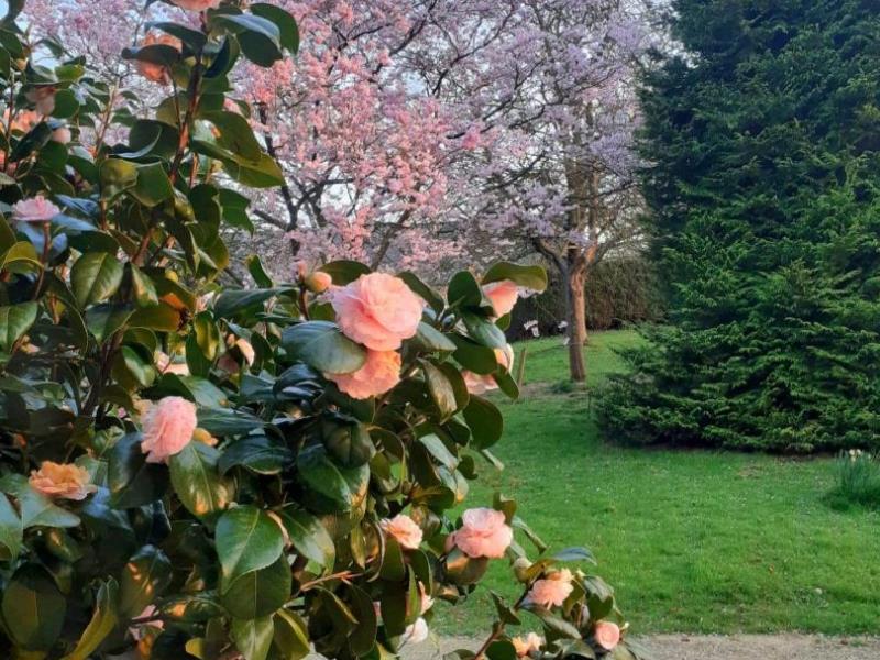 BRETTEVILLE DU GRAND CAUX#Gîtes de France® - Le Puits