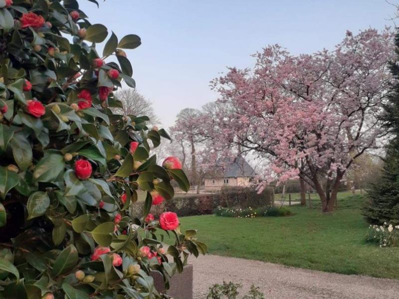 BRETTEVILLE DU GRAND CAUX#Gîtes de France® - Le Puits