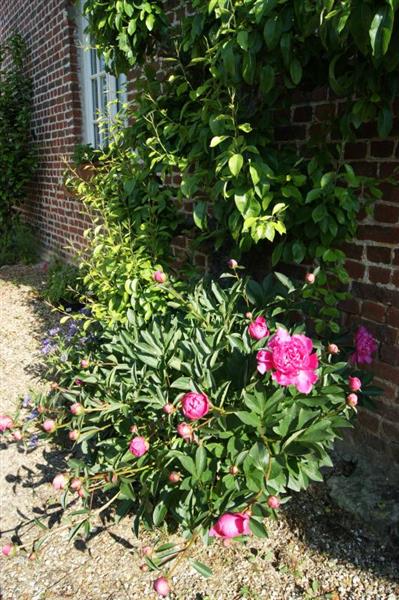 BRETTEVILLE DU GRAND CAUX#Gîtes de France® - Le Puits