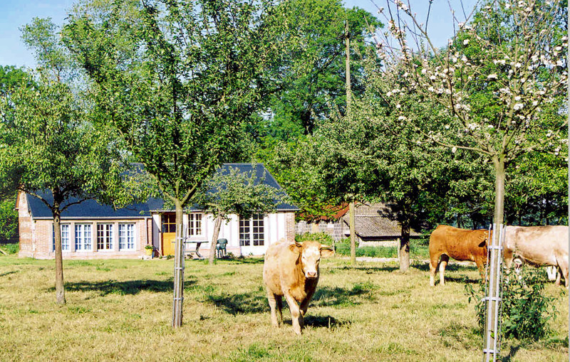 Gîtes de France® - L'Iris Bleu