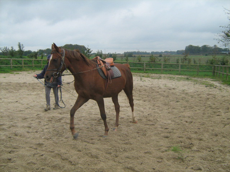 MENTHEVILLE#Gîtes de France® - La Grange d'Armand