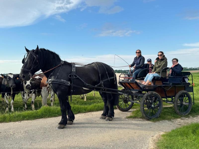 MENTHEVILLE#Gîtes de France® - La Grange d'Armand