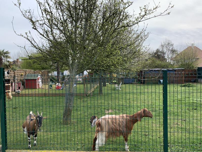 Gîtes de France® - Bienvenue chez les Biquettes