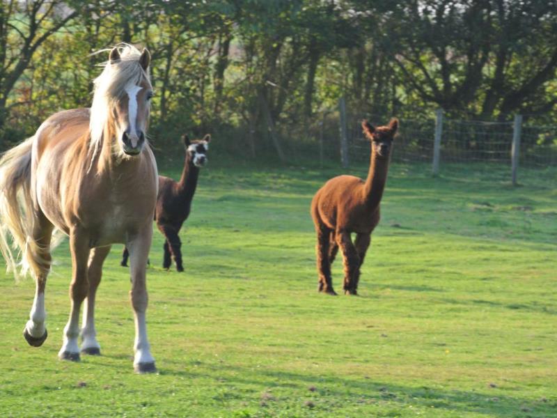 Gîtes de France® - Bienvenue chez les Biquettes