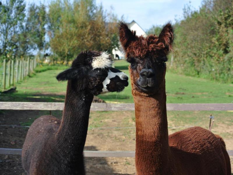 Gîtes de France® - Bienvenue chez les Biquettes