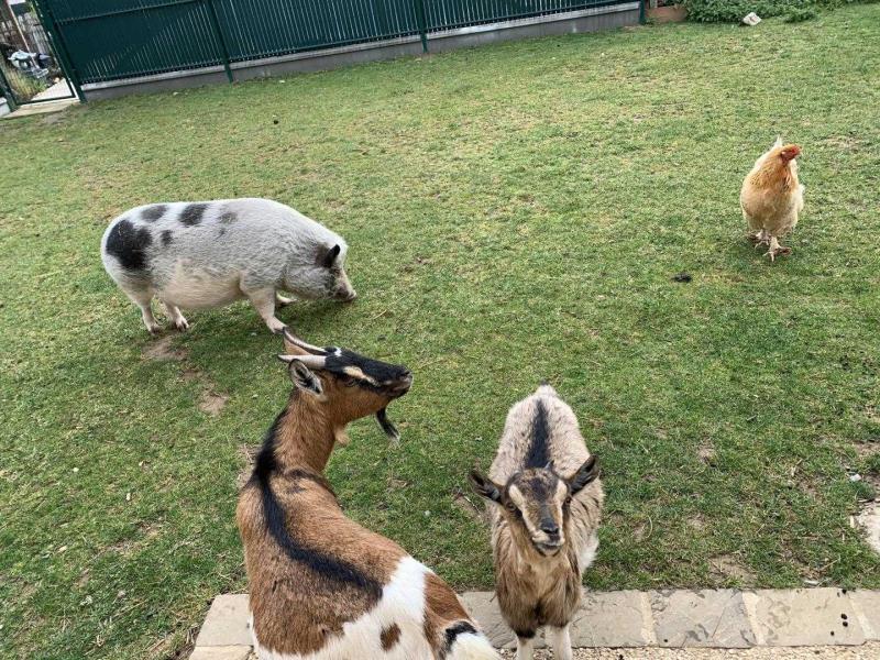 Gîtes de France® - Bienvenue chez les Biquettes