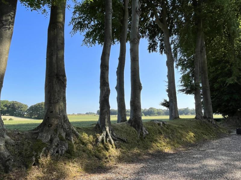 DAUBEUF SERVILLE#Gîtes de France® - Le Clos des Champs