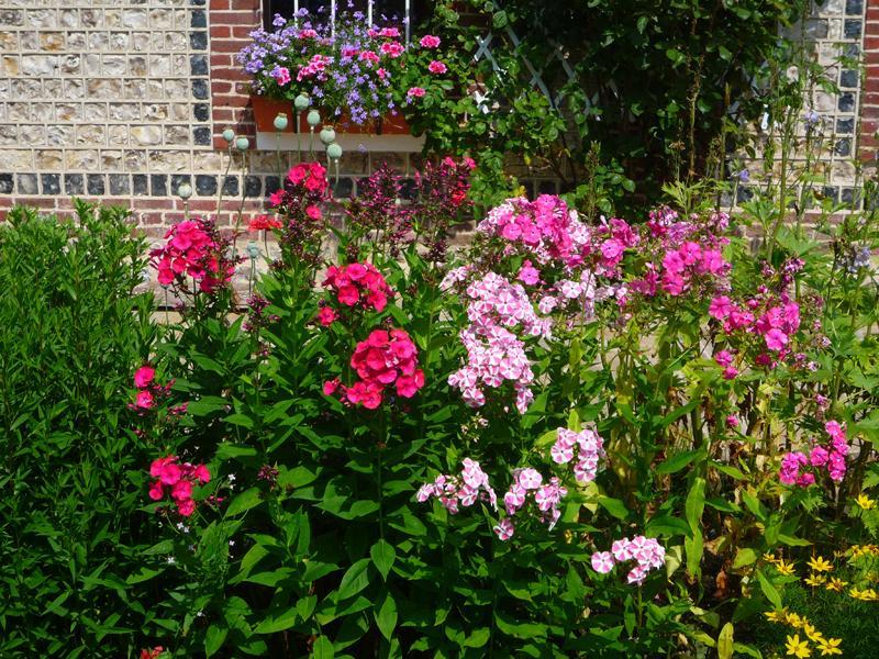 Gîtes de France® - Coquelicot