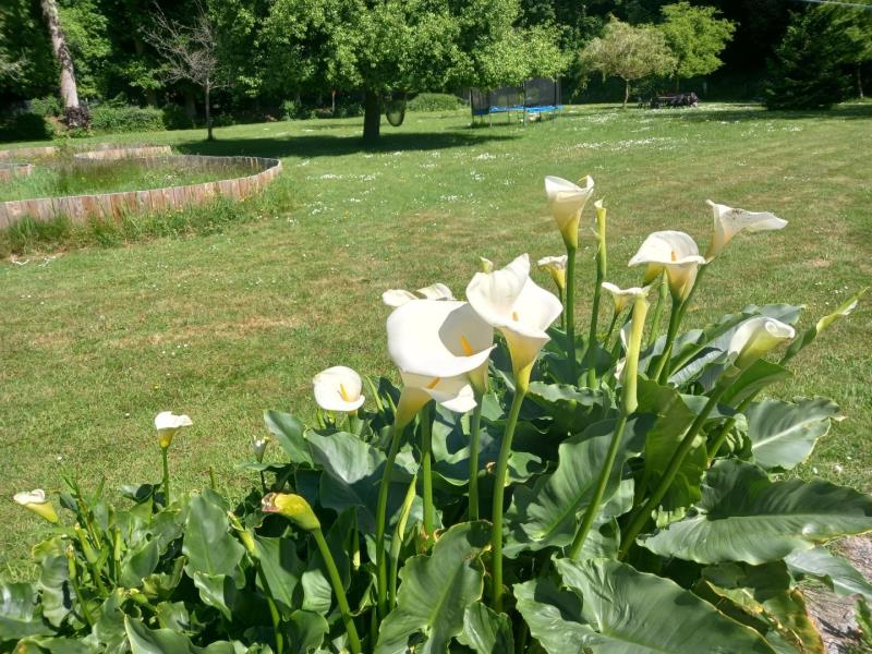 DAUBEUF SERVILLE#Gîtes de France® - L'Orée du Bois