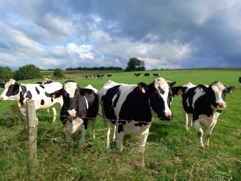 DAUBEUF SERVILLE#Gîtes de France® - L'Orée du Bois