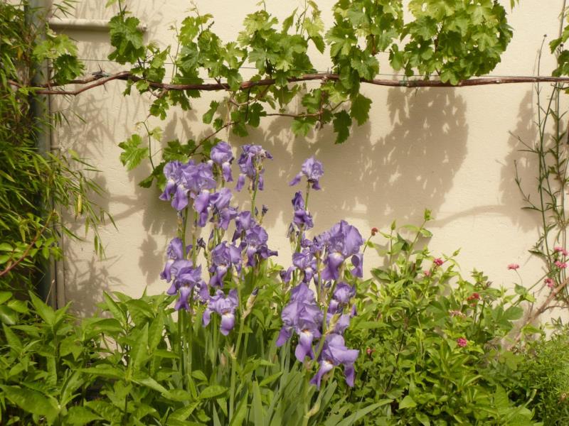 Gîtes de France® - Villa Marguerite