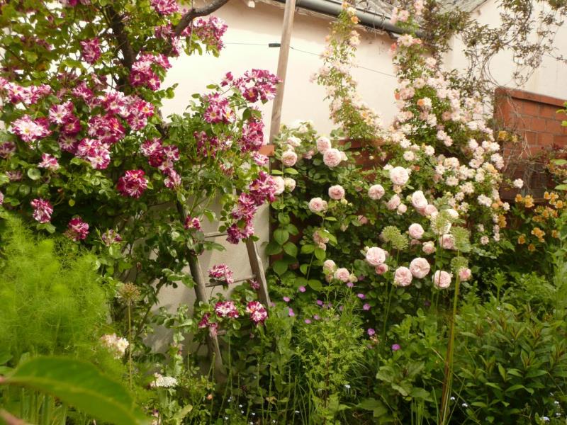 Gîtes de France® - Villa Marguerite