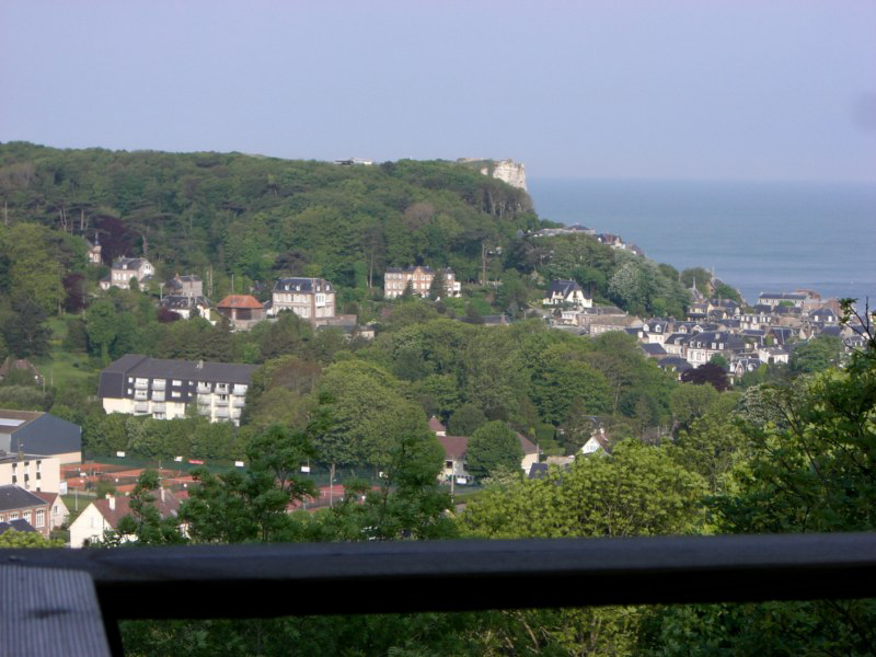 Sherwood Tree vue de la terrasse sur la falaise et la mer
