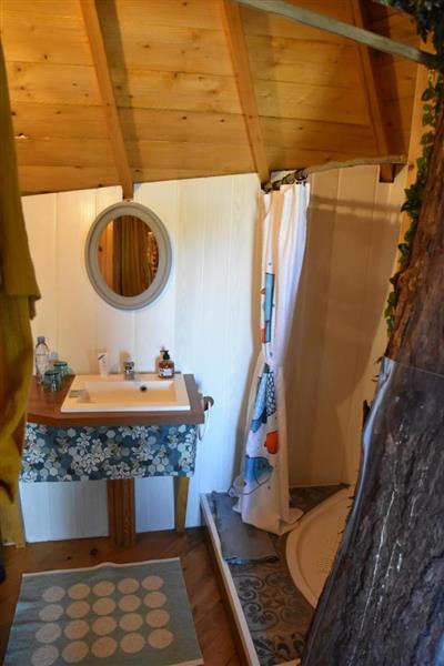 Sherwood Tree espace douche