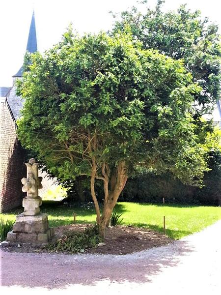 Gîtes de France® - Relais les Loges Etretat