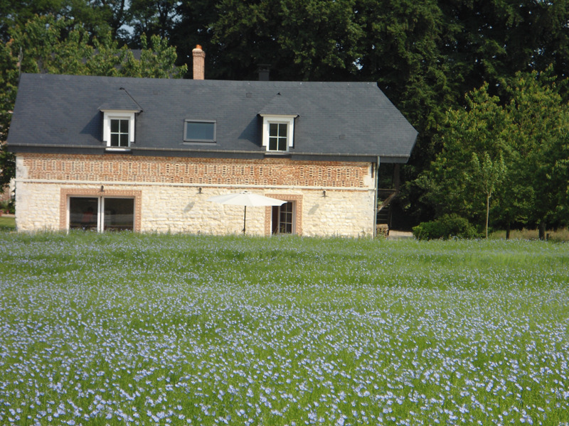 BREAUTE#Gîtes de France® - Fleurs de Caux