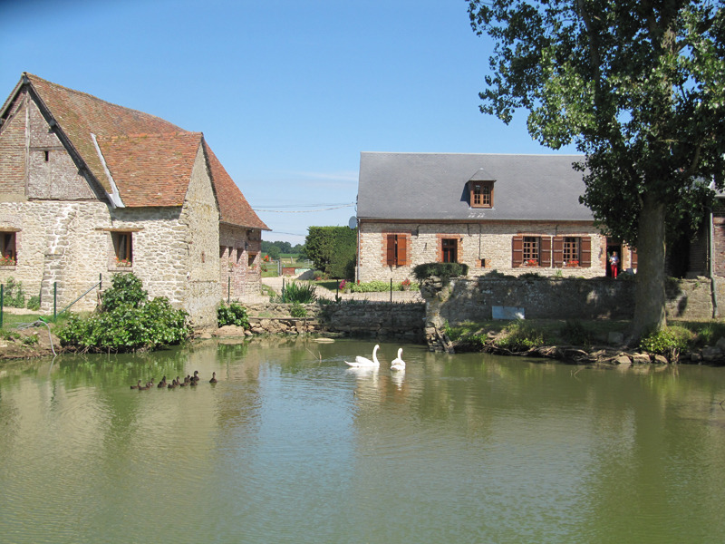 La Ferme des Peupliers - photo 2