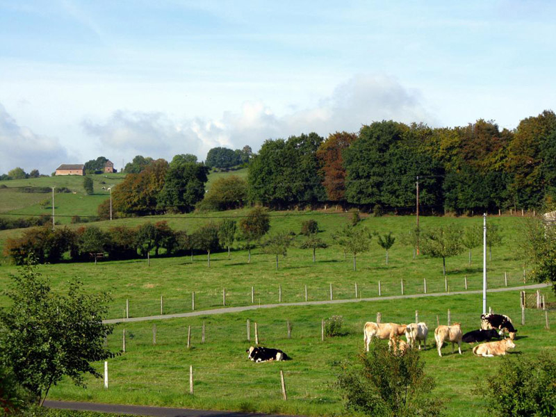 Gîtes de France® - Le Tilleul - photo 16