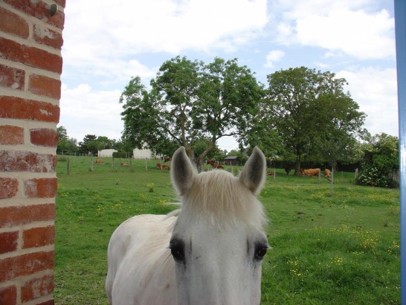 Le Cabray - photo 14