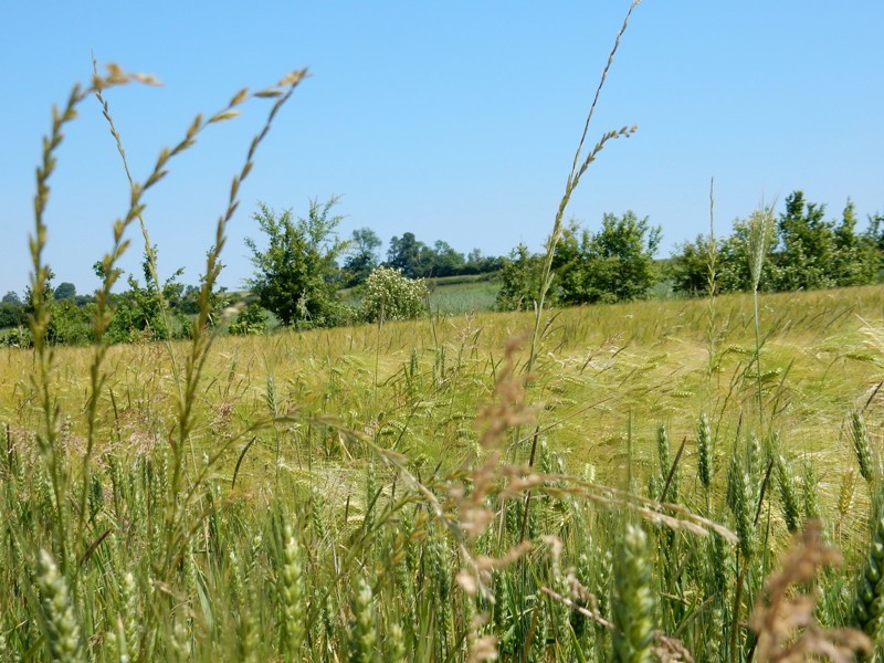 Le Cabray - photo 19