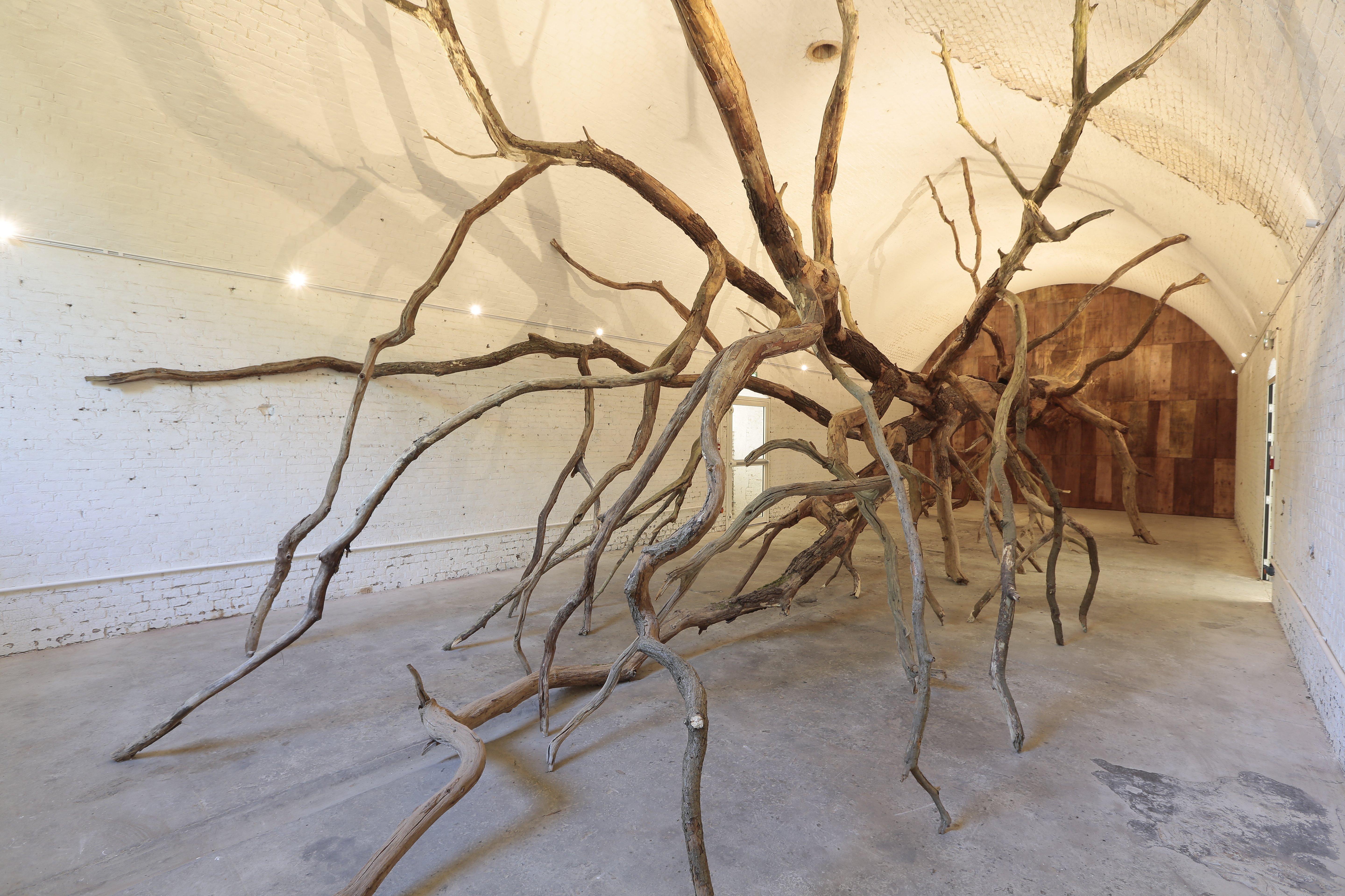 Henrique Oliveira Sisyphus casematere