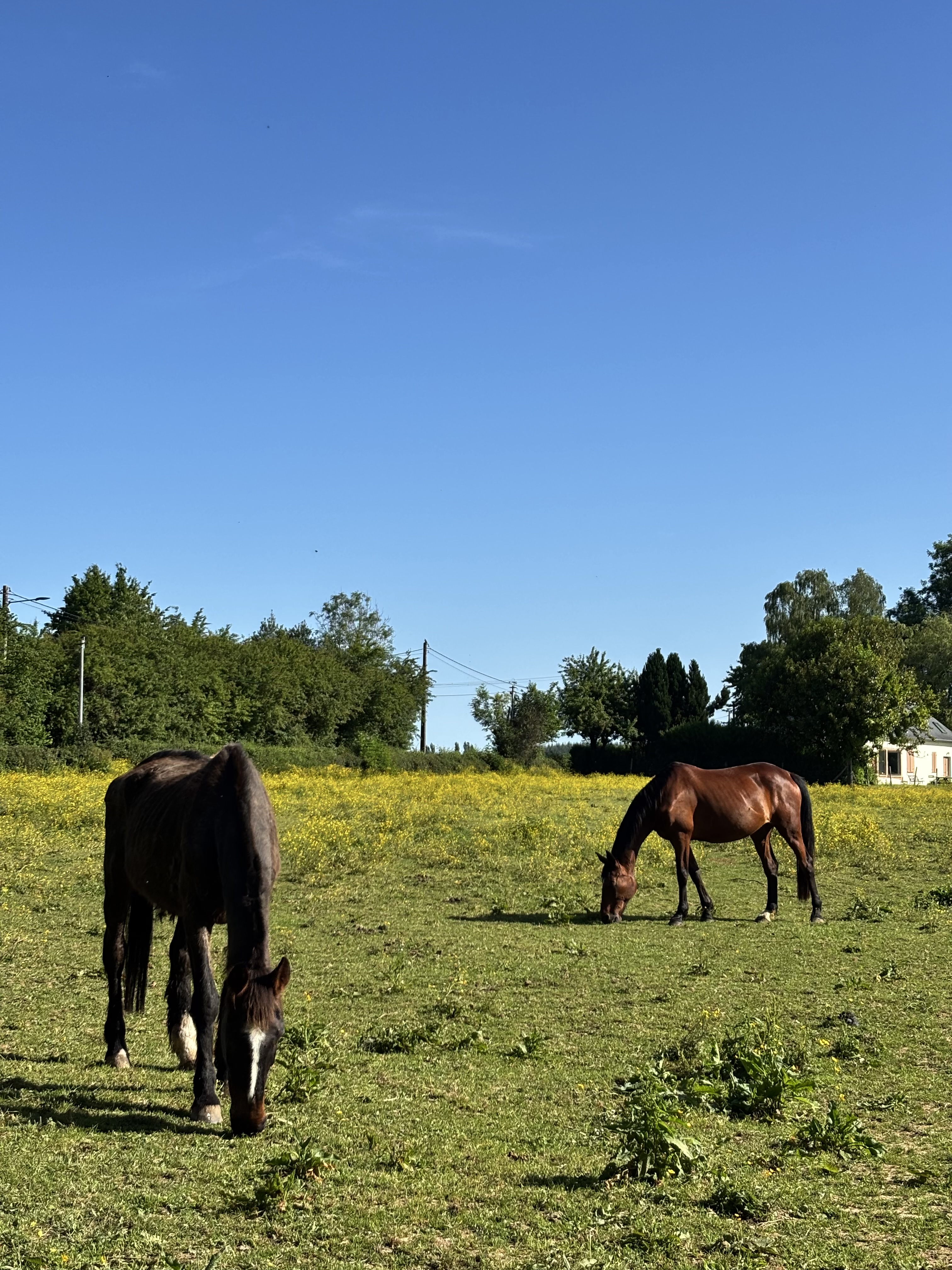 Sortie à la rivière