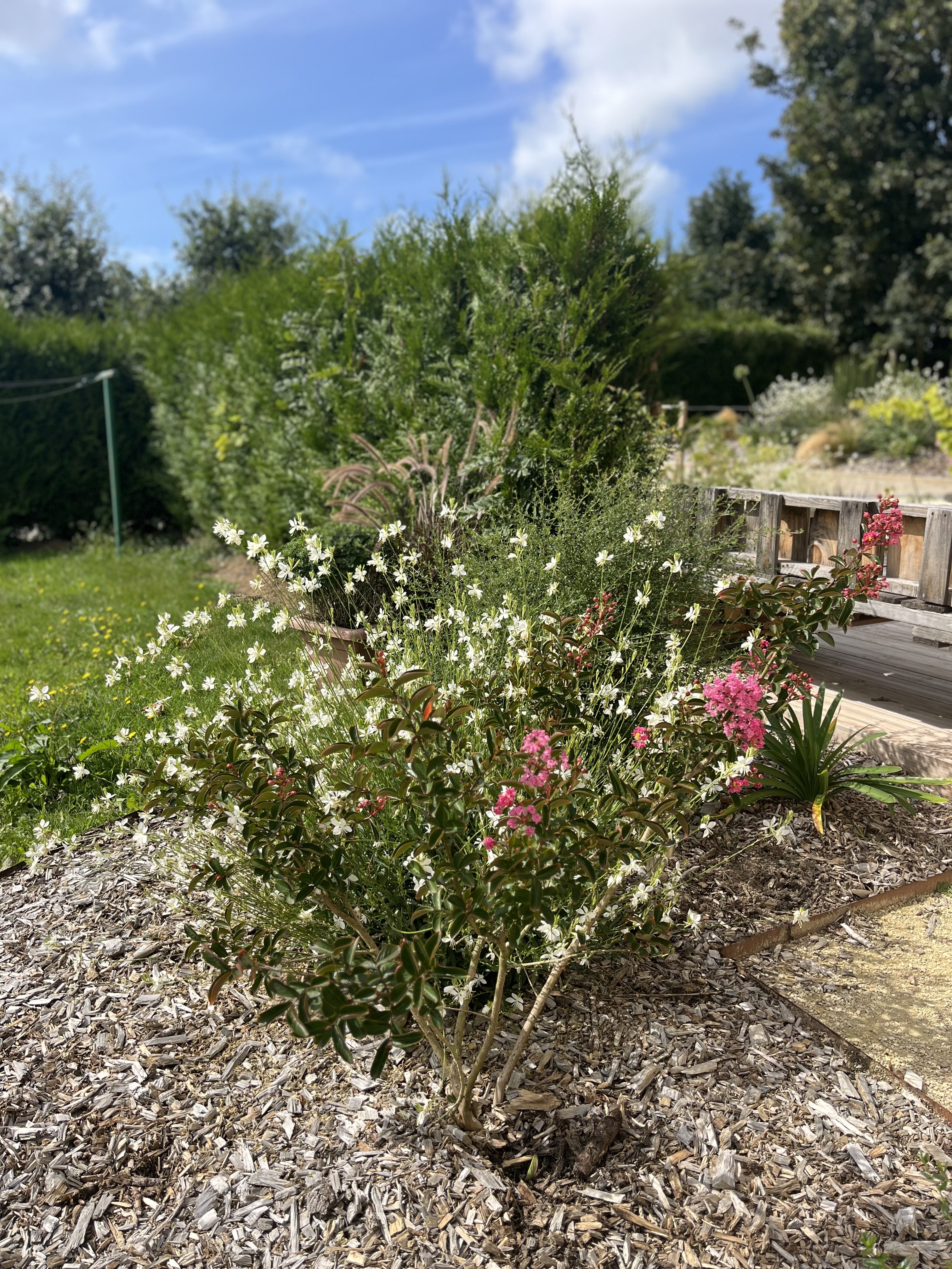 Jardin arboré dans le respect de l'écosystème